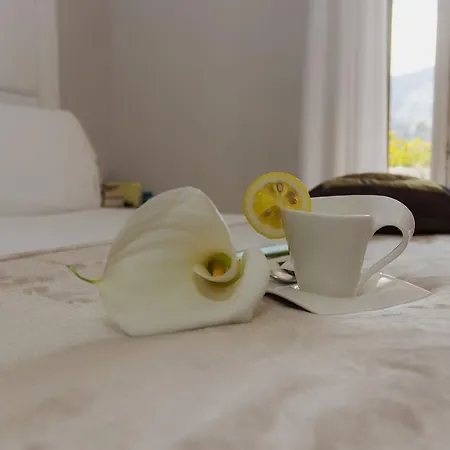 Maison d'hôtes Bougainvillea Relais